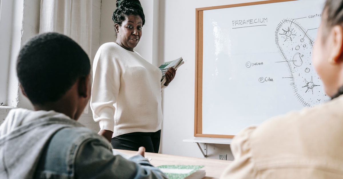 BA Primary Education (QTS) Degree Apprenticeship